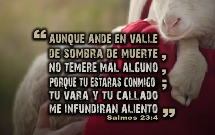 Salmos 23:4