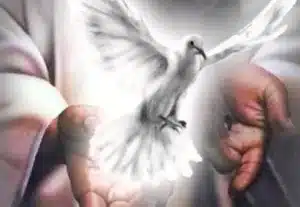 Espiritu Santo de Dios